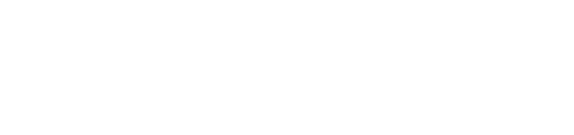 easyVO-Logo-weiß
